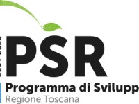 Credito d’imposta 4.0 e aiuti Psr: è possibile&nbsp;cumularli?