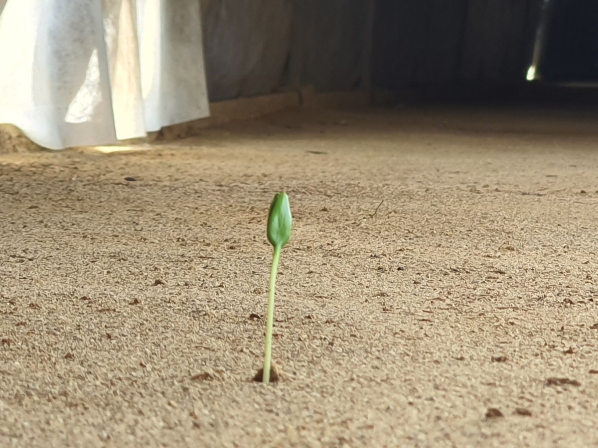 Vi presento il progetto&nbsp;Valentini